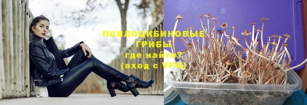хмурый Алексеевка
