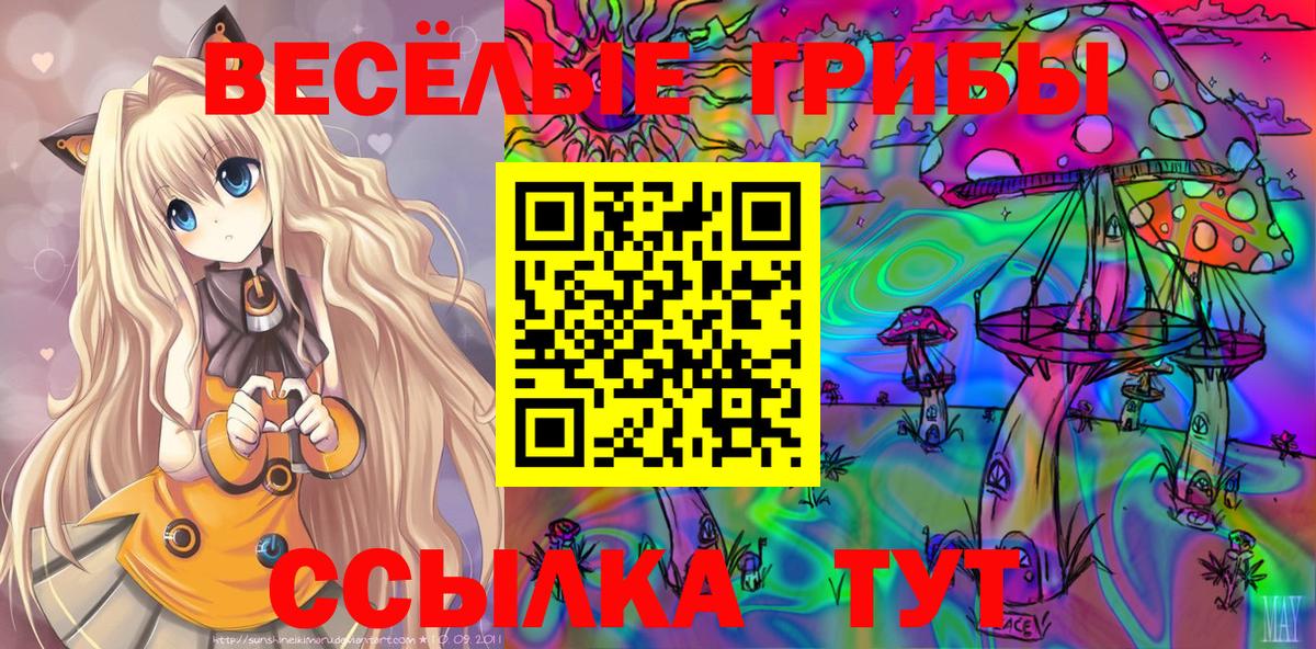 Галлюциногенные грибы ЛСД  Вход с VPN  Лесозаводск 